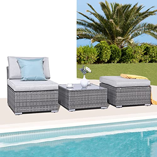 Patiorama 3-Piece Patio Furniture Set, Outdoor Sectional Sofa, All-Weather Grey PE Wicker Rattan Conversation Set, Outdoor Couch Loveseat Sofa w/Coffee Table for Deck Balcony Pool(Light Grey Cushion)