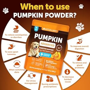 Pumpkin for Dogs – Pumpkin Powder for Dogs Digestive Support – Natural Fiber for Dogs – Healthy Stool – Mix with Water to Create Delicious Pumpkin Puree – Canned Pumpkin Alternative – 16 OZ