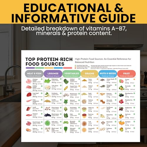 Vitamines minéraux guide des aliments riches en protéines éducatif