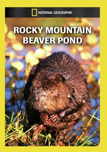 Rocky Mountain Beaver Pond [Edizione: Stati Uniti]