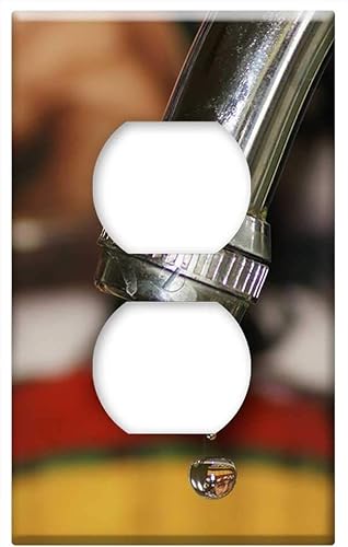 Switch Plate Outlet Cover - Tap Leak Armenia Quindio Nature