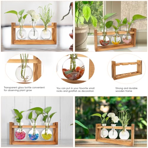 Poliumb SP-R Plant Terrarium Wooden Stand,Planter Propagation Station Glass Flower Vase thumb #2