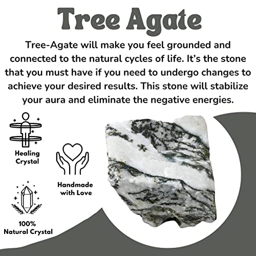 Image of Amazing Gemstone 2 Pieces Tree Agate Raw Crystals and Healing Stones, Natural Rocks for Tumbling and DIY Raw Stones and Crystals