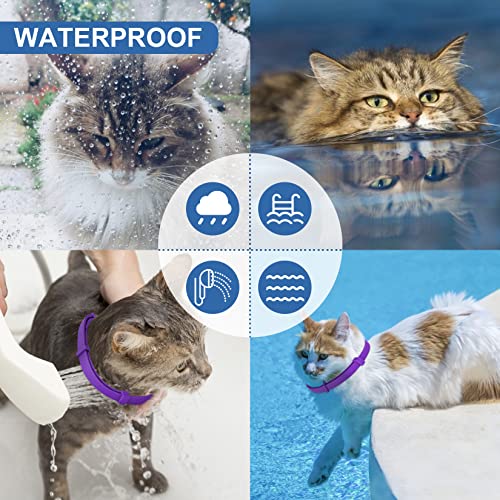 Purple Flea and Tick Collar for Cats & Kittens, Cat Flea Collar 2 Pack Made with Plant Based Essential Oil, 8-Month… - Image 7