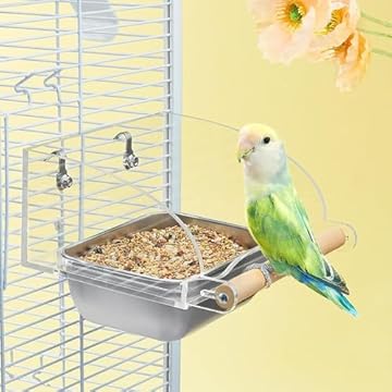bird perch with stainless steel bowls