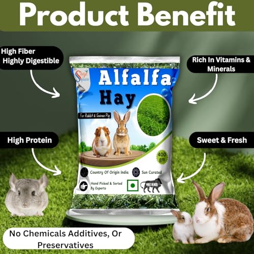 Image of Sage Square Alfalfa Hay - Protein, Calcium-Rich Hay for Rabbits, Guinea Pigs, Hamsters & Small Animals | Supports Growth, Healthy Teeth, Digestion | Sun-Dried, Hand-Selected Alfalfa Feed | 400 gm
