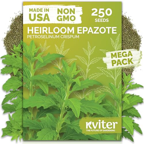 KVITER 250 Epazote Seeds (Chenopodium Ambrosoides) - Semilla de Epazote Mexicano Heirloom Seeds Apazote Planta Seed for Planting - High Germination Rate Ideal for Herb Garden