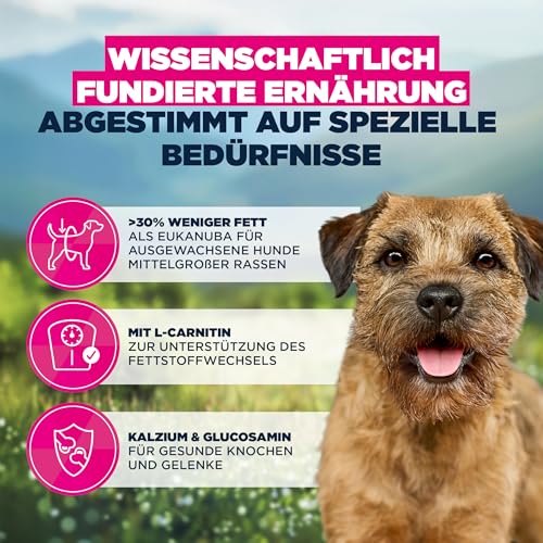 Eukanuba Weight Control Hundefutter mit Huhn für kleine- & mittlere Rassen - Fettarmes Special Care Trockenfutter zum Gewichtserhalt oder zur Diät bei Übergewicht, 15 kg – Bild 6