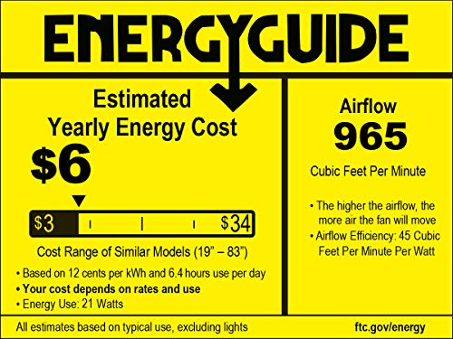 Westinghouse Lighting 7236600 Quince Indoor Ceiling Fan with Light, 24 Inch, Chrome