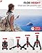 IFOOTAGE Table Top Tripod, Professional Mini Tripod with 3/8 and 1/4 inches Quick Release Plate, Desktop Tripod for DSLR Camera, Video Camcorder, Mobile Phone and Action Cameras. Max Load 17.6 lbs