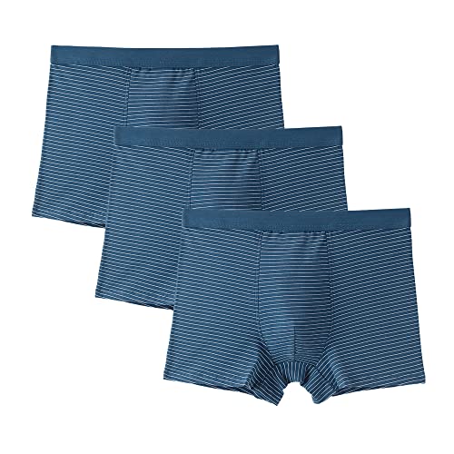 JEKE-DG Men's Cotton Classics Boxer Underwear Striped Printed Boxer Briefs Stretch Low Rise Boxer Shorts, Multipacks (6X-Large,Blue-3pc)