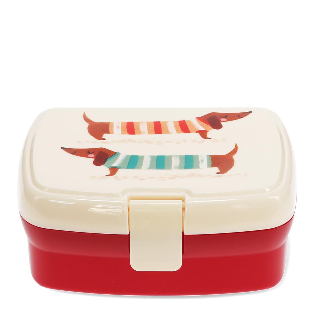 Rex London Kids Lunch Box, Bento Box with Compartments, Small Lunchbox for Pack Lunch, Sectioned Food Container, Durable Lunch Box for Kids School Meals and Snacks