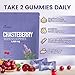 VivoNu Vitex Chasteberry Supplement for Women Gummies, 1000mg Chasteberry Extract, Contains Grape Seeds, Coenzyme Q10 Vitamin B12 and Other Hormone Balance Menstrual Cramp Relief (180 Gummies/3Pack)