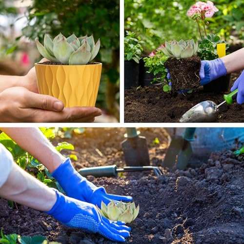 4 Inch Small Pots for Plants, 6 Pack Waffle Texture Small Plant Pots for Succulents, Plastic Planter with Drainage Holes and Saucers for Indoor Outdoor Plants, Flowers, Herbs, Seedlings, Colorful - Thumbnail 7