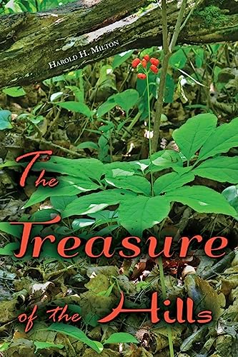 The Treasure of the Hills