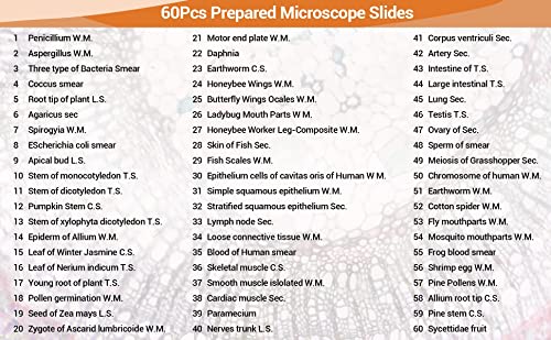 60 Prepared Microscope Slides For Kids & Students, Microscope Glass Slide Set Including Animal & Plant Specimens, Suitable For School And Home Education #TOP5