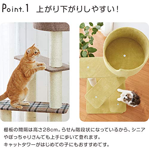 ペピィ　キャットタワー　ニューペントハウスII （ライトグリーン） 楽天市場】キャットタワー ニューペントハウス2 グリーン