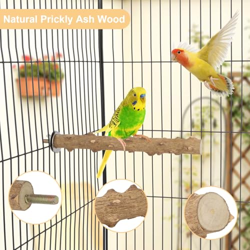Image of Hypeety Natural Wood Perch Stand Toy for Budgie, Parakeet, Cockatiel, Conure, Lovebird (7.86 inch)