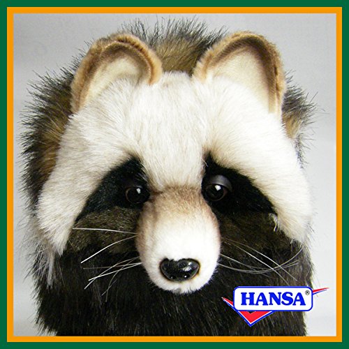 Amazon.co.jp: HANSA ハンサ ぬいぐるみ 7256 タヌキ 46 RACCOON DOG