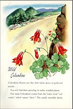 Hardcover Childs Book of Flowers Book