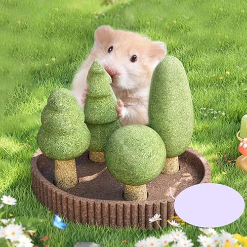 Bohany Brinquedos Para Roer Para Animais,Kit com 5 Brinquedos de Mastigação Tema Selva para Hamster