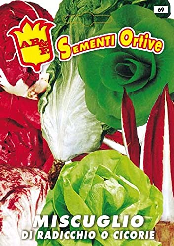 Semi in Busta Radicchio e Cicorie Misticanza