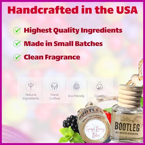 Image of Car Air Freshener Diffuser, GrapeBerry Bliss Aromatherapy, Natural Fragrance Oil, Long Lasting, by Bootleg Collection, Made in USA