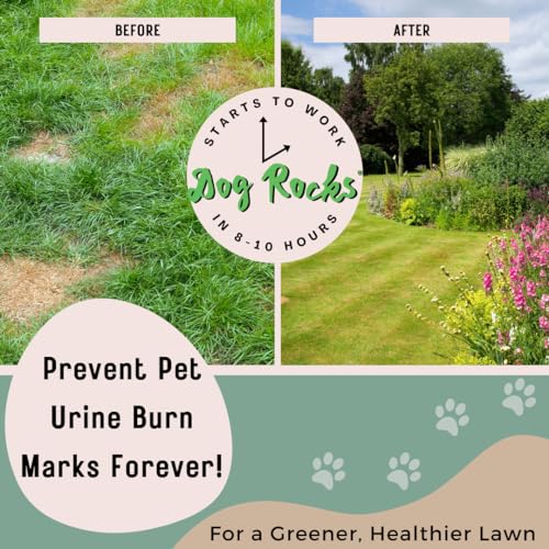 Dog Rocks Dog Pee Grass Neutralizer for Green Grass in 3-5 Weeks | Dog Grass Saver Rock | 100% Natural Urine Neutralizer for Lawn, Grass and Hedges | 600 grams