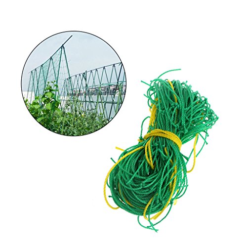 Fuwahahah Garden Green Nylon Trellis Netting Support Climbing Bean Plant Nets Grow Fence