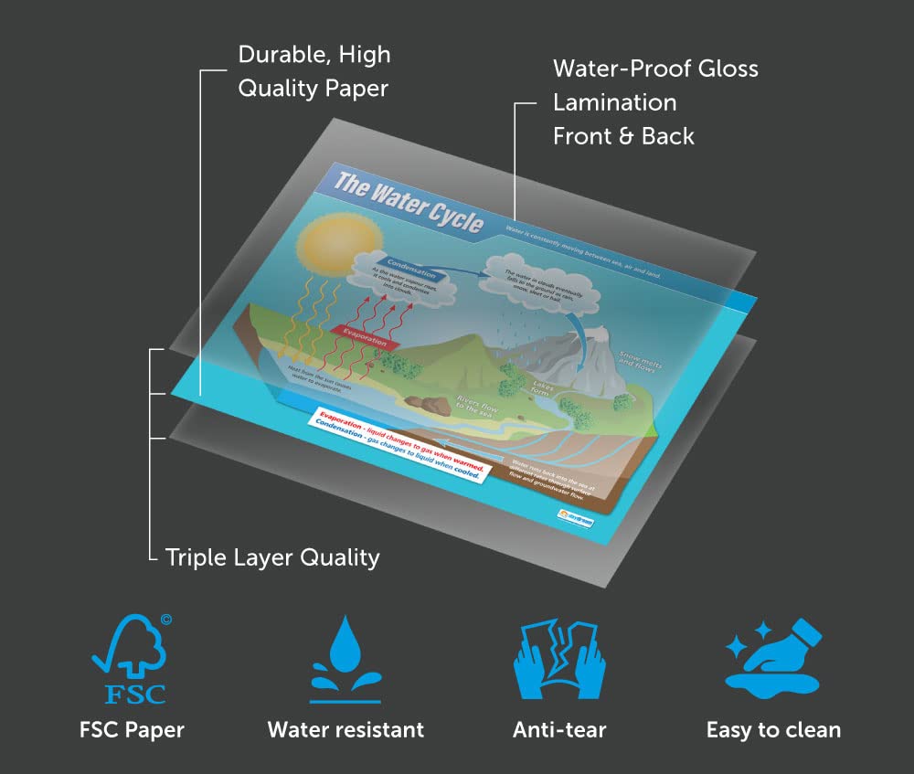 Buy The Water Cycle | Science S | Gloss Paper Easuring 850 X 594 - View #10