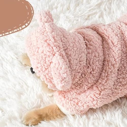 Housse à capuche pour petits moyens grands chiots contre le froid