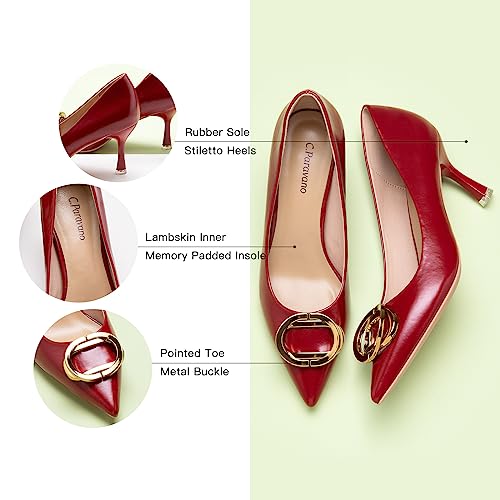Image of C.Paravano Women's Pumps | Women Heels Closed Toe | Pumps Shoes Women | Chic Pointed Toe Design | Comfort Heels