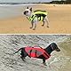 CITÉTOILE Hunde Schwimmweste mit Griff und Reflektierend, Einstellbare Rettungsweste für Kleine Mittel Große Hunde, Langlebigem für Wassersport Schwimmen und Bootfahren, Rot, M