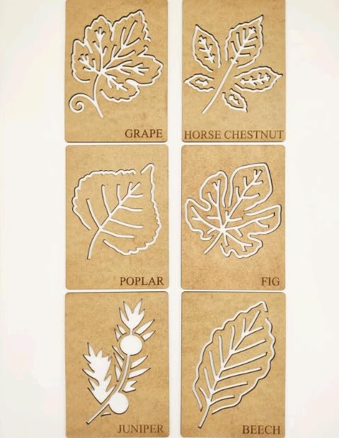 MeeCraft Woodem Montessori Leaf Stencil Set Line Exercise Template for Handwriting, Drawing and Artistic Expression, 21x15cm Each, Toys for Preschooler Kids. 3