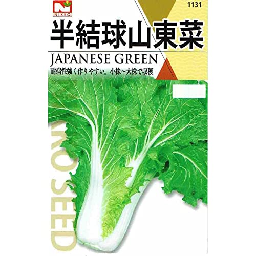 c cPi R؂̃^l [1131]