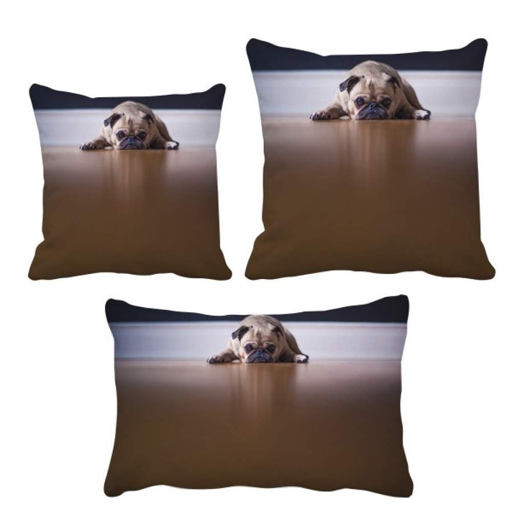 Housse de coussin de sol animal une idée cadeau originale pour la maison