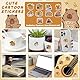 HANGGON Capybara Schulsachen Set – Stiftbox aus Stoff, 10 Sticker, Mini-Plüschtier, Anstecknadel, Schlüsselanhänger, Notizblock, 4 Gelstifte & Clip – Süßes Capybara Geschenk für Schule & Büro