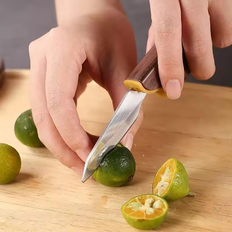 Image of Wizbiz Premium Double-Blade Multipurpose Utility Knife Ultra-Sharp Stainless Steel Dual-Edge EDC Pocket Paring Knife for Fruits Vegetables Daily Kitchen Use | Compact Travel-Friendly