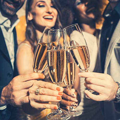 Refroidisseur de vin double paroi contre le vin qui se réchauffe - 6
