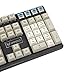 immagine 4YMDK 143 DSA Dye Sub 9009 Retro PBT Keyset completo per tastiera meccanica MX Filco Ducky 104 TKL 61 KBD75 Kira96 YMD96 XD64 Tada68 Sub Set 125 coloranti