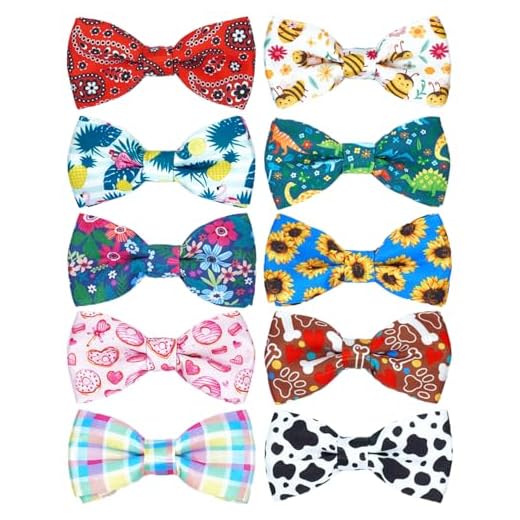 PET SHOW 10 Pack Dog Bowties Daily for Small Dogs Sliding on Collar