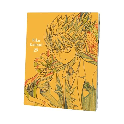 アイシールド21 04 甲斐谷陸[描き下ろしイラスト] キャンバスアート