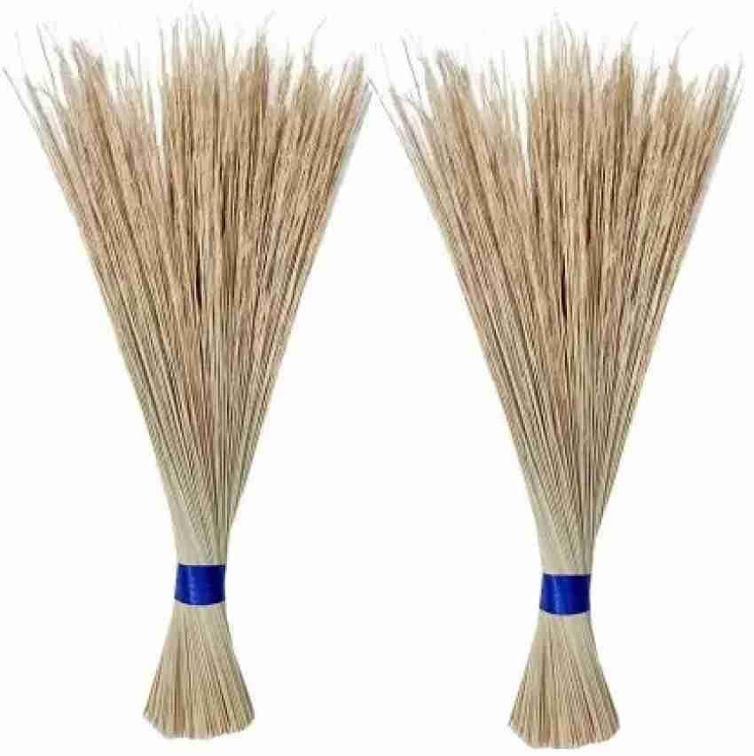 RAJA Groups of Coconut Broomstick/Dry Broom (Pack of 1 + 1 Offer) (B0DFM2958V) Amazon Price History, Amazon Price Tracker