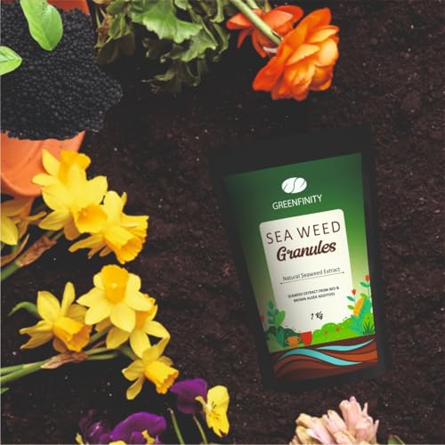 Image of GREENFINITY Seaweed Pro Granules For Indoor & Outdoor Plants | Growth Booster Granulated Fertilizer | 1kg