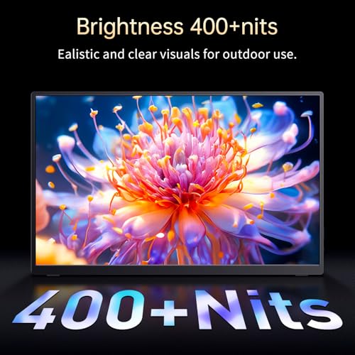 Image of Portable Monitor OLED 4K 3840x2400, 14 inch Ultra Slim Travel Monitor, 400+ Nits |100% DCI-P3 | 1000000:1 Contrast, HDMI USB C External Monitors for Laptop Mabook PC