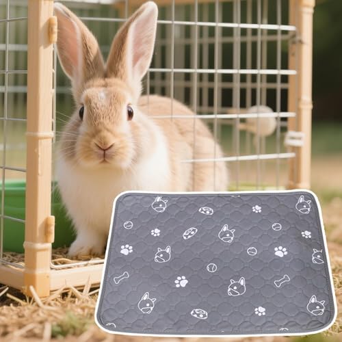 ybgV[g - pgCV[g pybg}bg - 􂦂zV[g ~ߕt gCg[jO P[W p