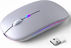 Mouse Sem Fio Recarregável, Ergonômico, com Led RGB, Conexão Dual Bluetooth 5.0/USB 2.4GHz, DPI Ajustável, perfeito para Notebook, Laptop,PC, Desktop, Silencioso (Prata)