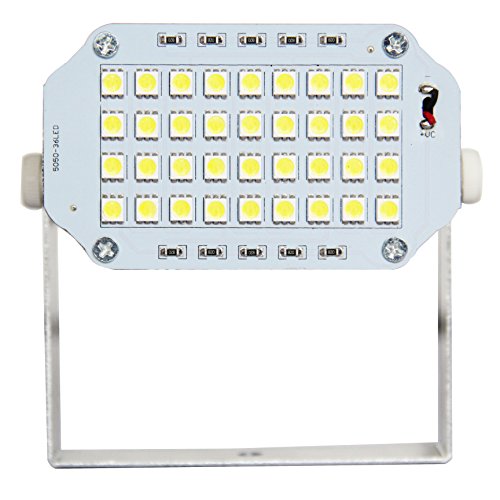 ALLEGRO 9871-01C Micro Strobe Guard