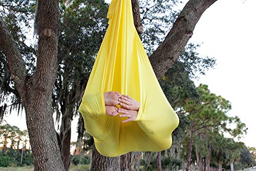 Image of F.Life Aerial Silk Yoga Hammock & Swing for yoga Inversion,Strength training,starter hardware kit