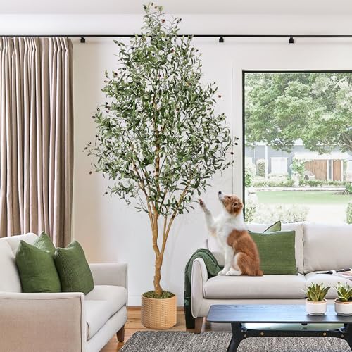 Olive Trees Artificial Indoor, 8ft Tall Artificial Olive Plants - Tall Faux Olive Tree with Planter, Fake Topiary Silk Tree with Natural Wood Trunk and Lifelike Fruits for Home Office Decor 1Pack